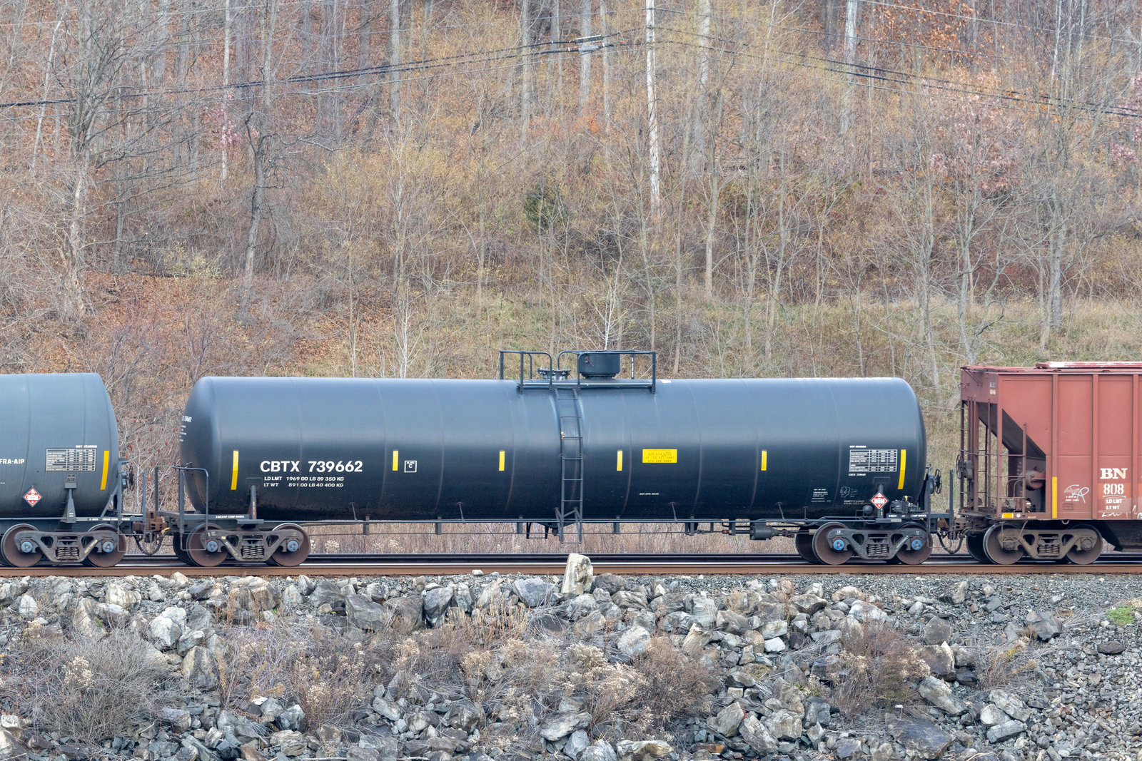 CBTX 739662