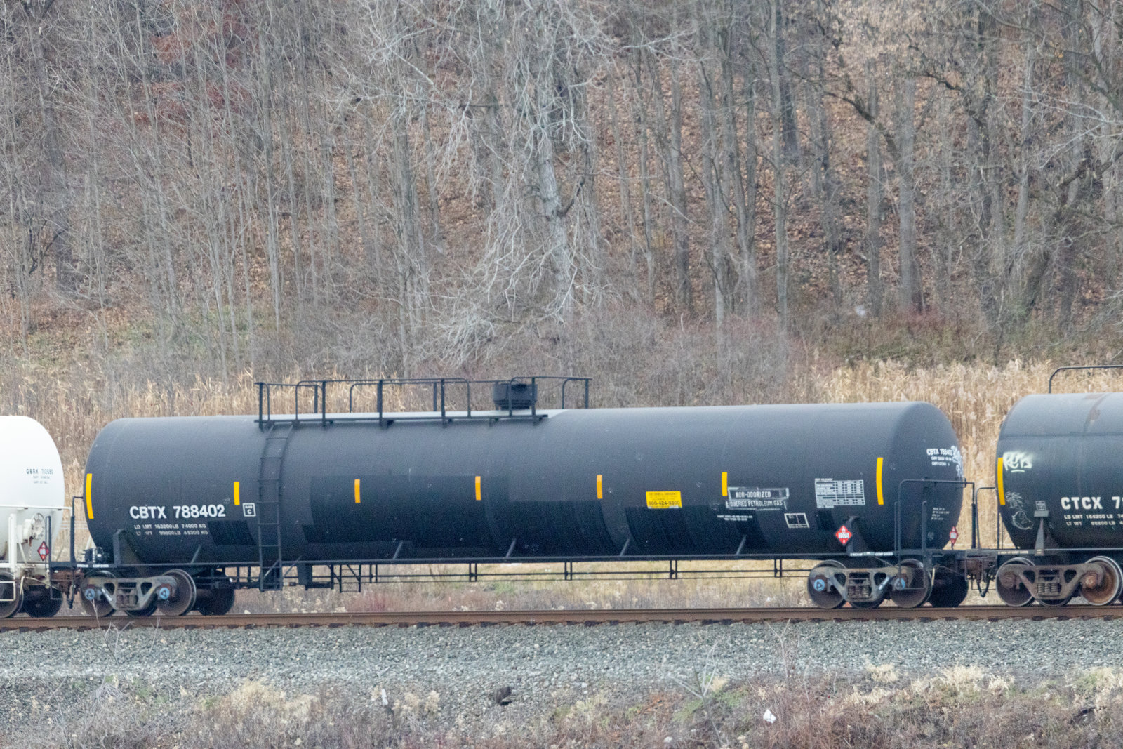 CBTX 788402