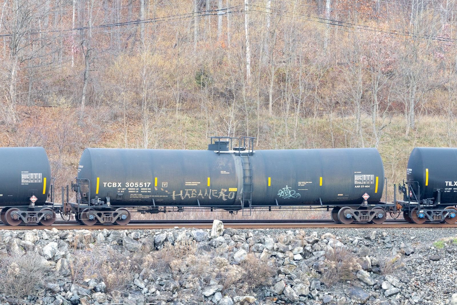 TCBX 305517