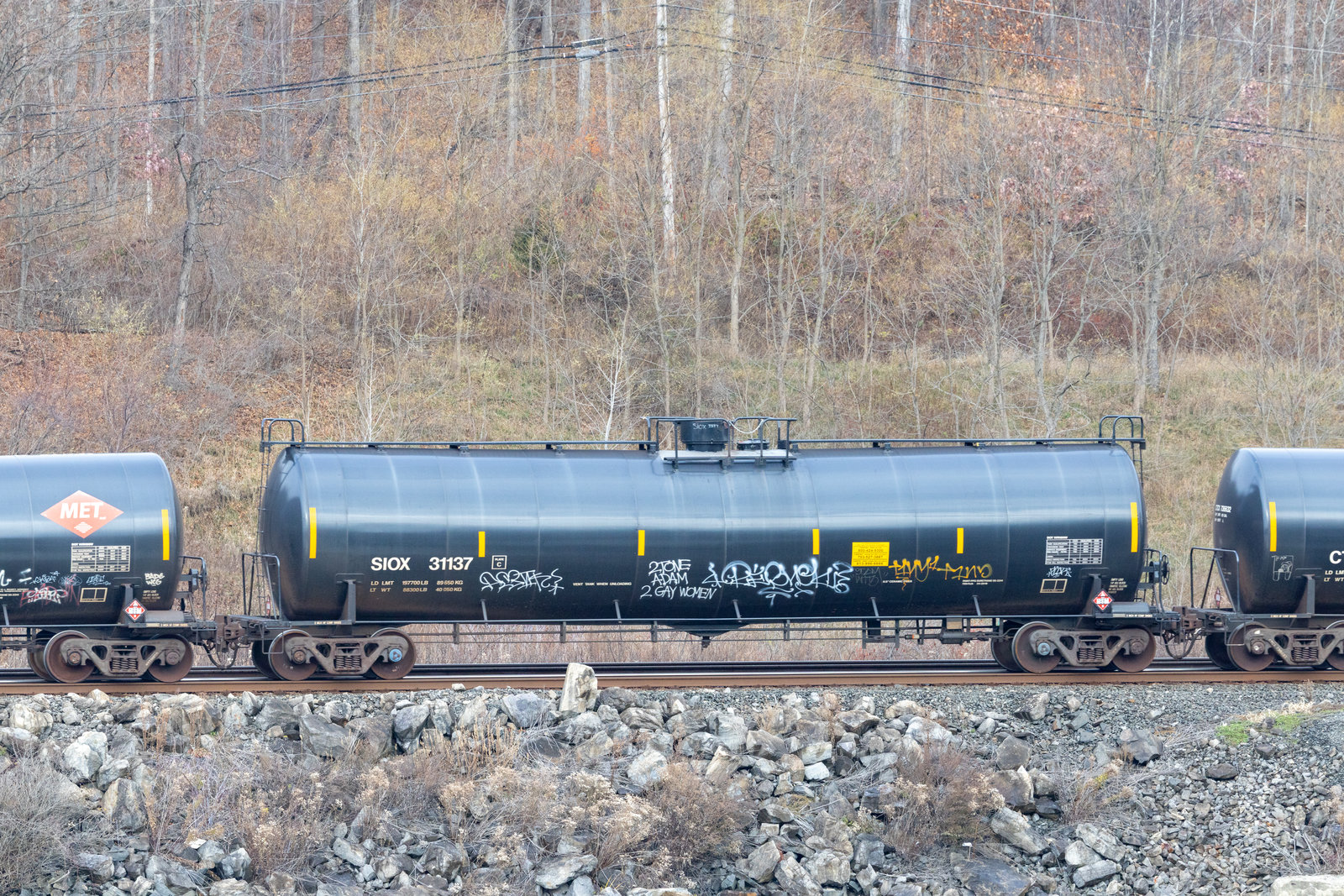 SIOX 31137
