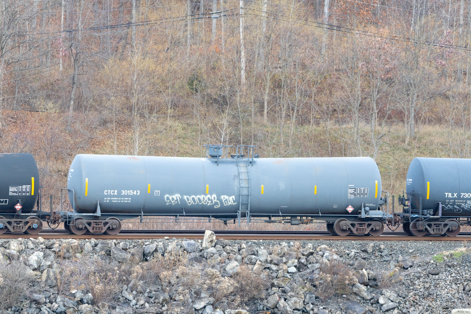 CTCX 301543
