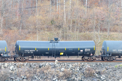 CTCX 302771