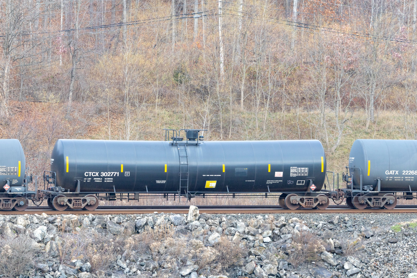 CTCX 302771