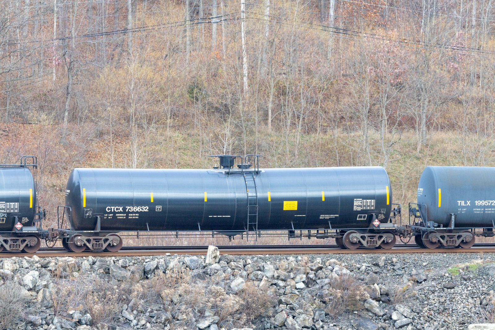 CTCX 736632