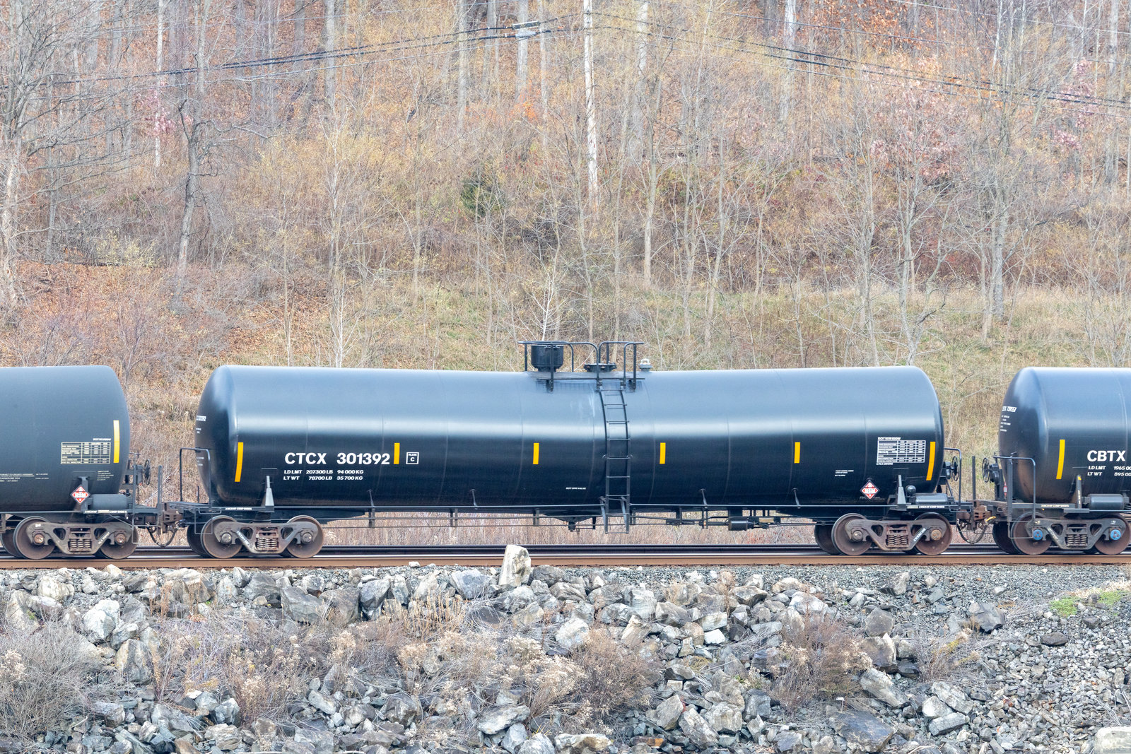 CTCX 301392