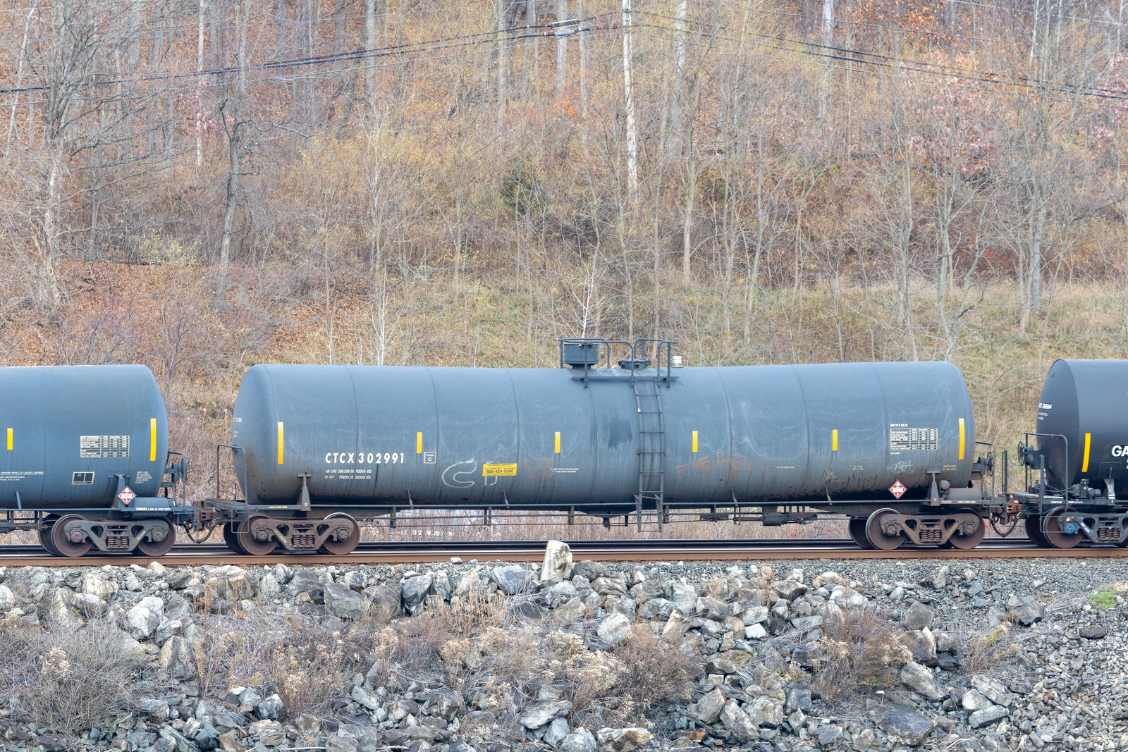 CTCX 302991
