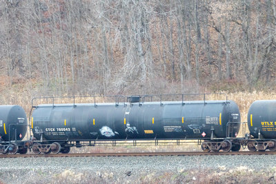 CTCX 780043
