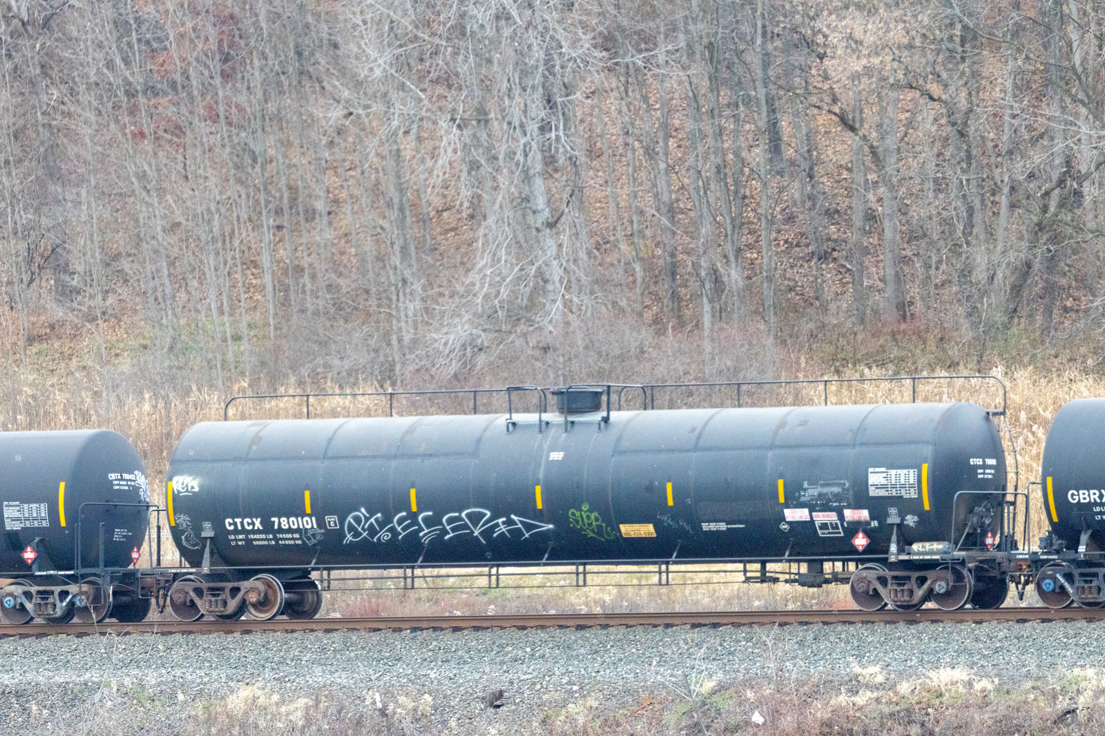 CTCX 780101