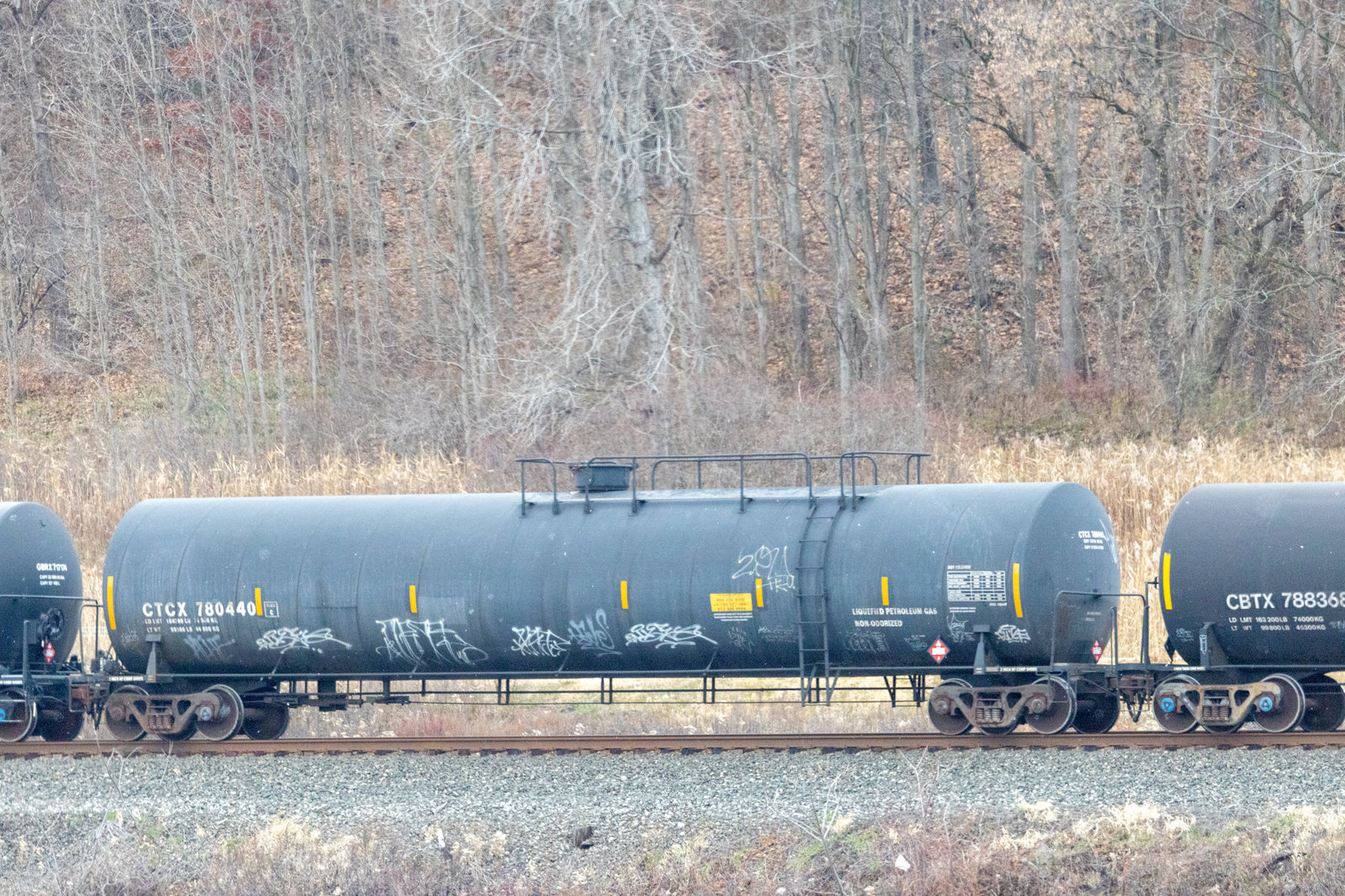 CTCX 780440