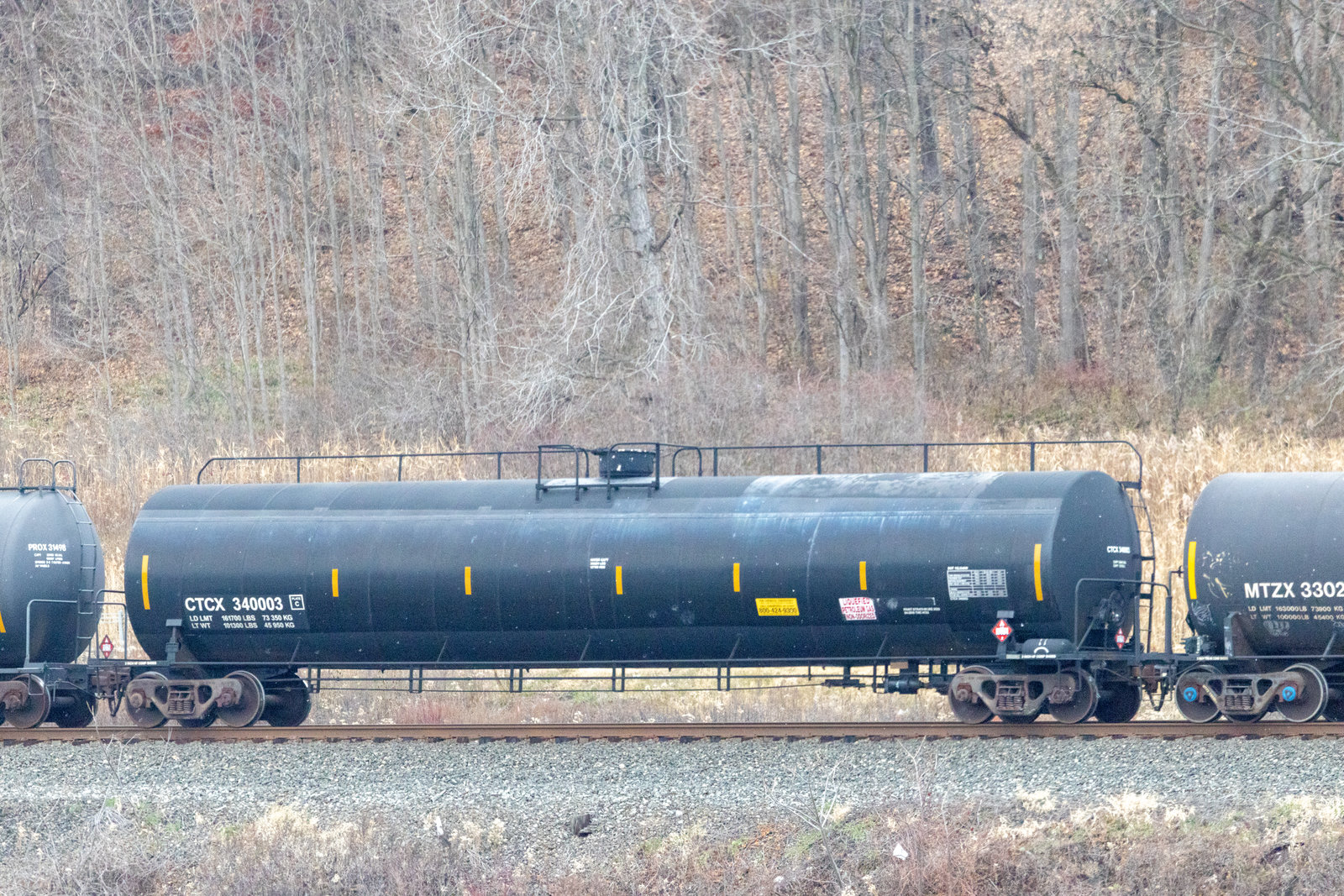 CTCX 340003
