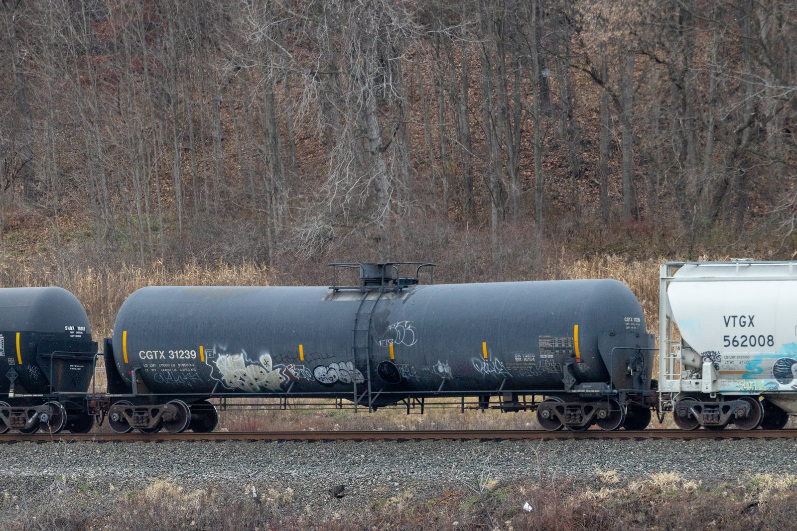 CGTX 31239