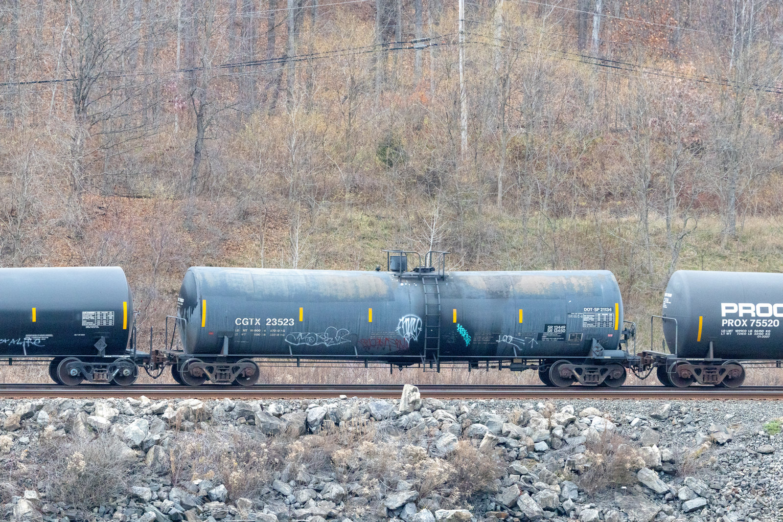 CGTX 23523