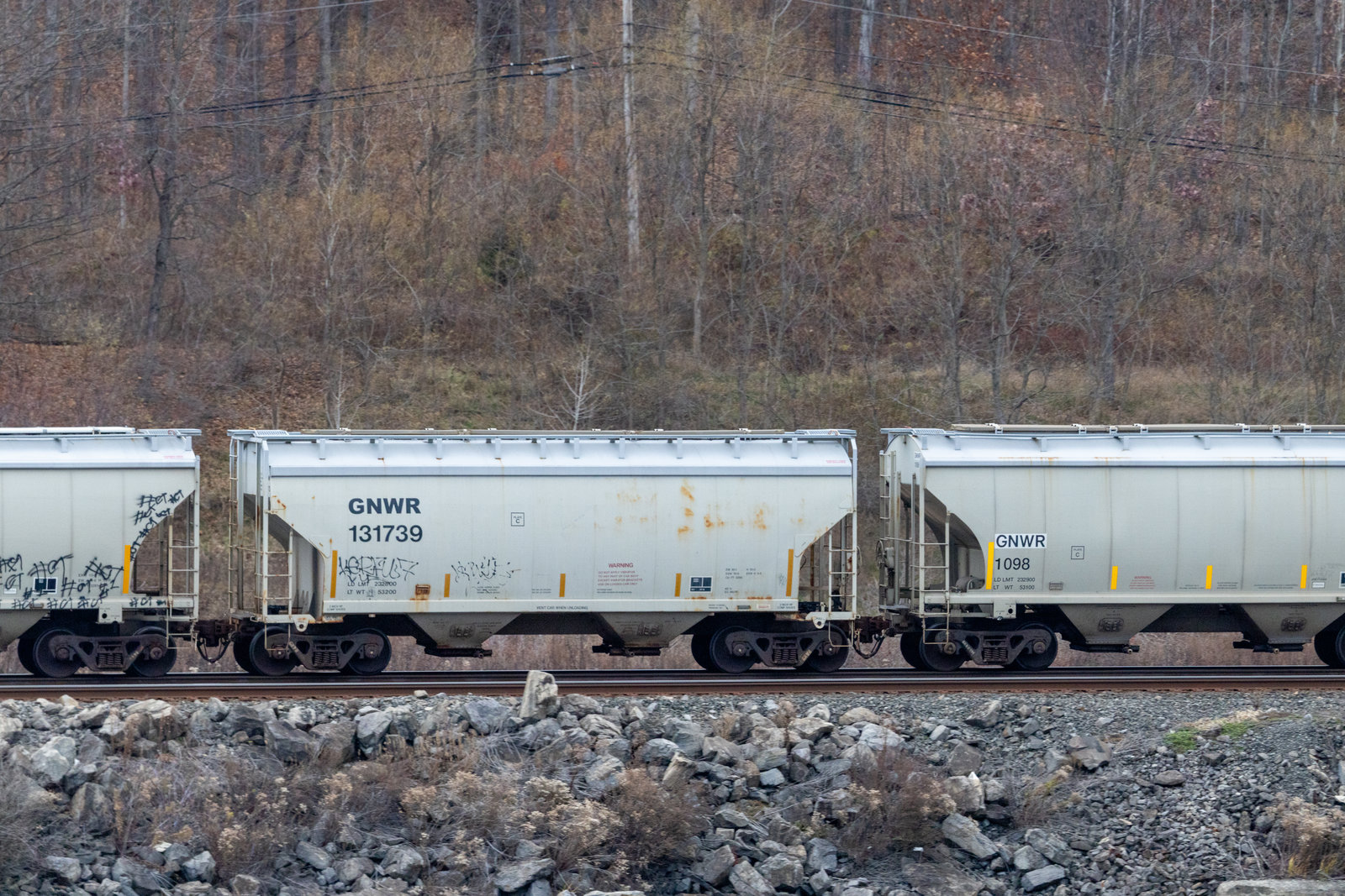 GNWR 131739