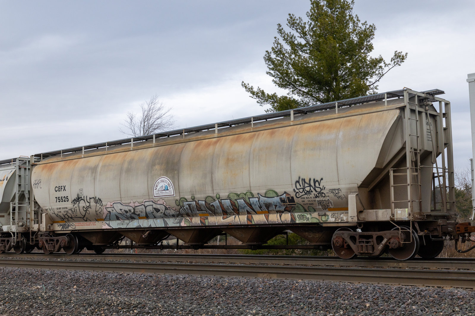 CEFX 75525