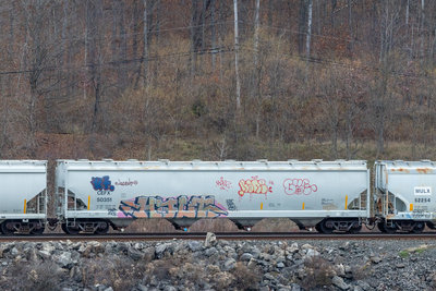 CEFX 50351