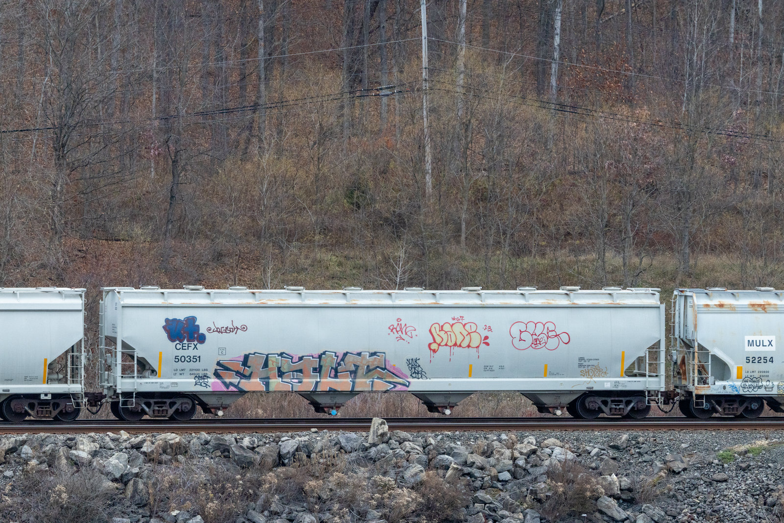 CEFX 50351
