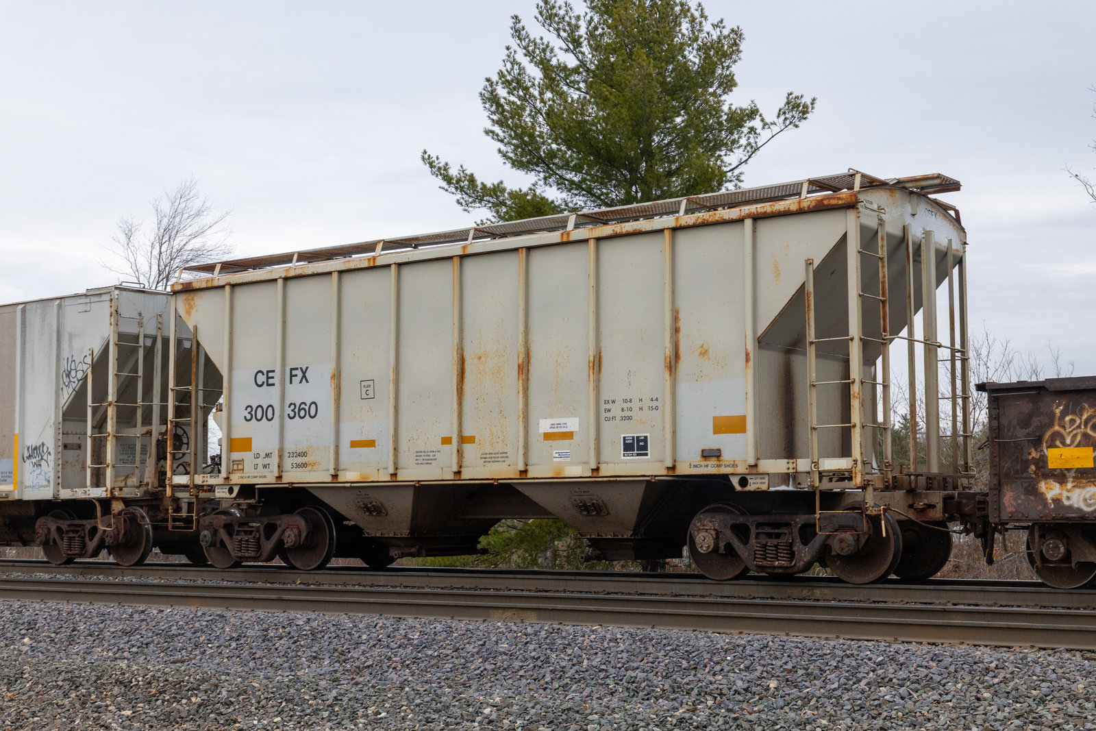 CEFX 300360