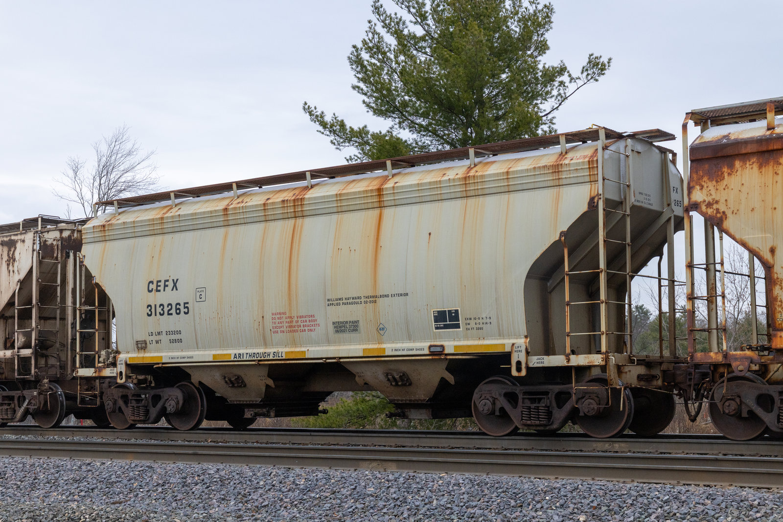 CEFX 313265