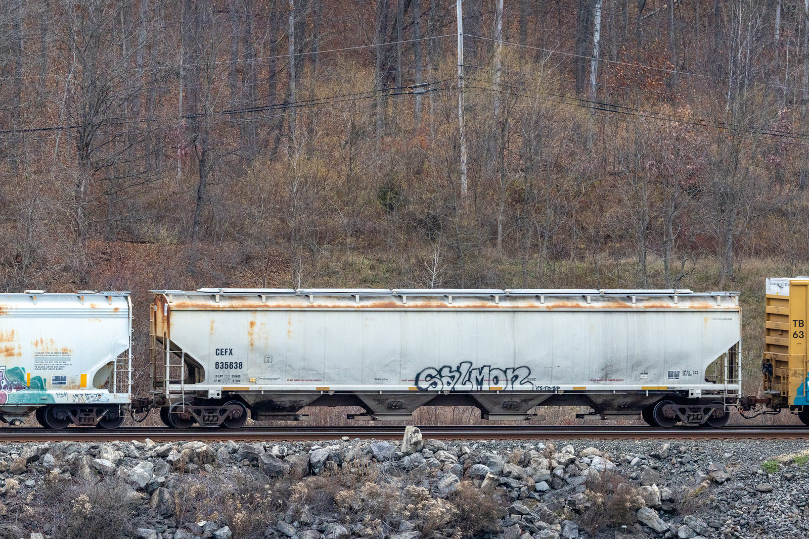 CEFX 635638