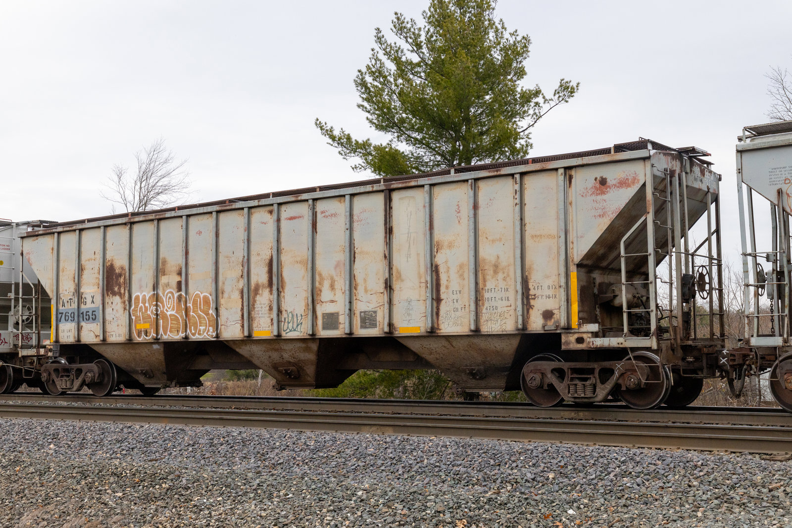 ATGX 769155