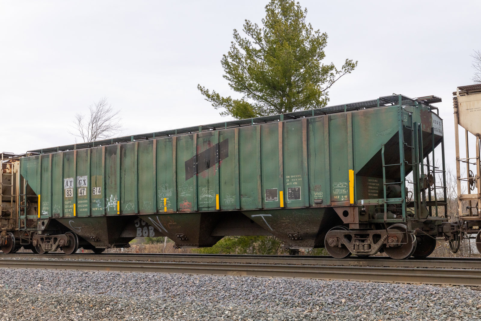 ATGX 834764