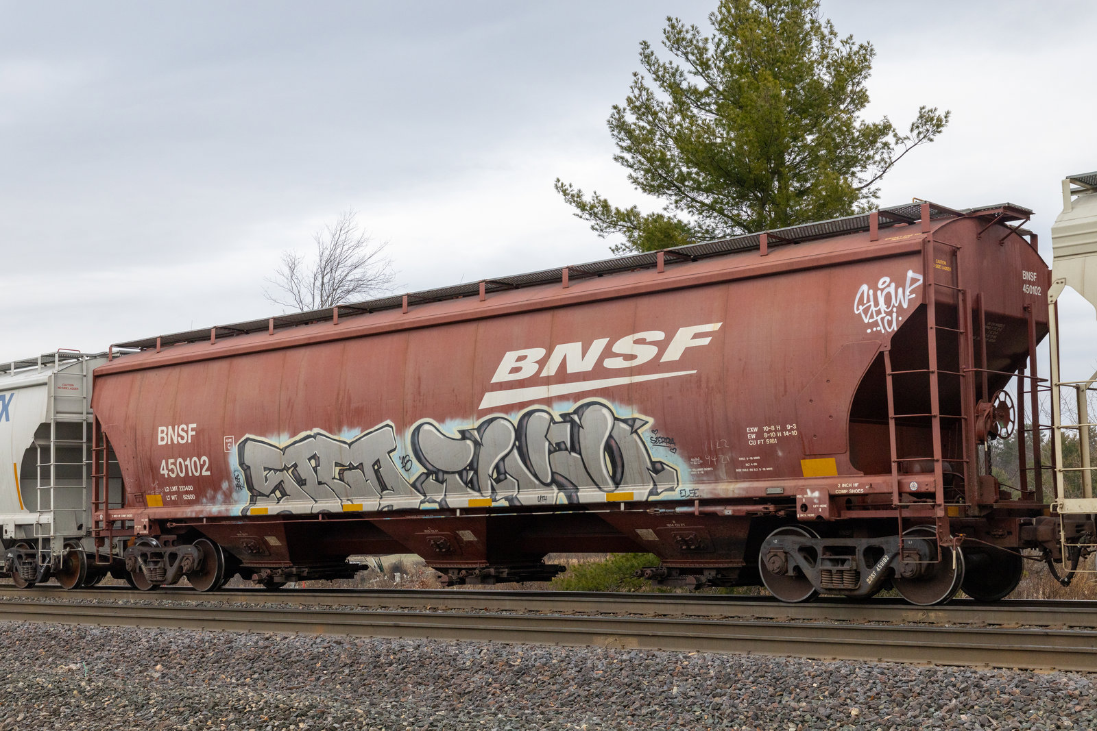 BNSF 450102