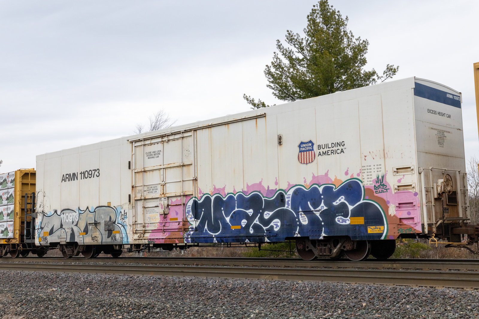 ARMN 110973