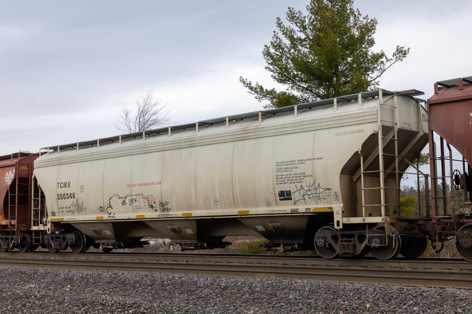 TCMX 350346