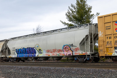 TCMX 45204