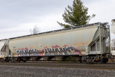 TCMX 451304
