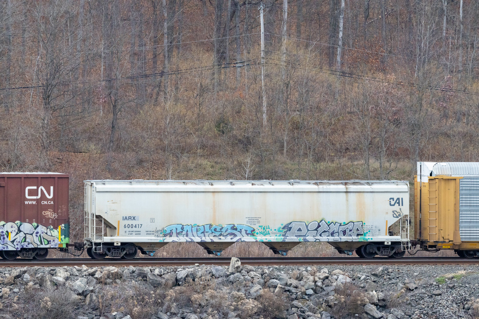 IARX 600417
