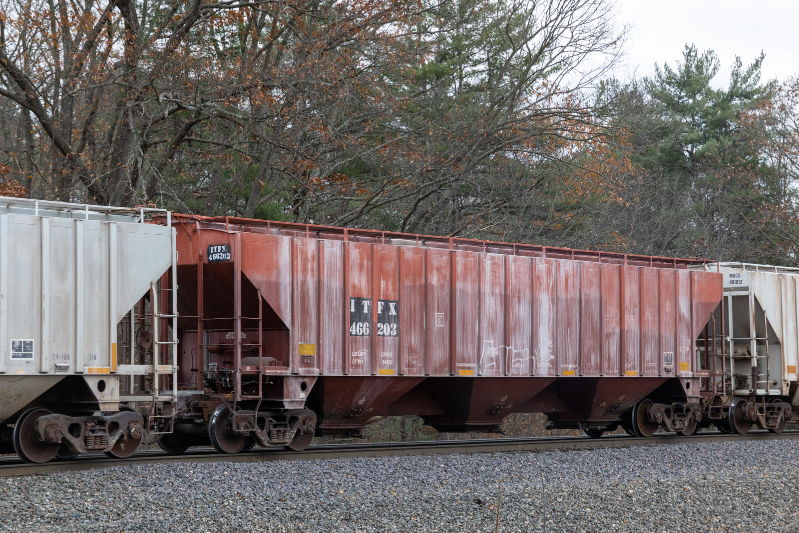 ITFX 466203