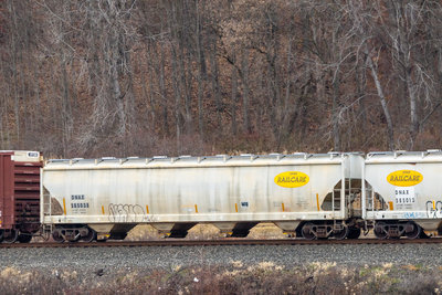 DNAX 585038