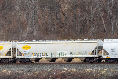 DNAX 585013