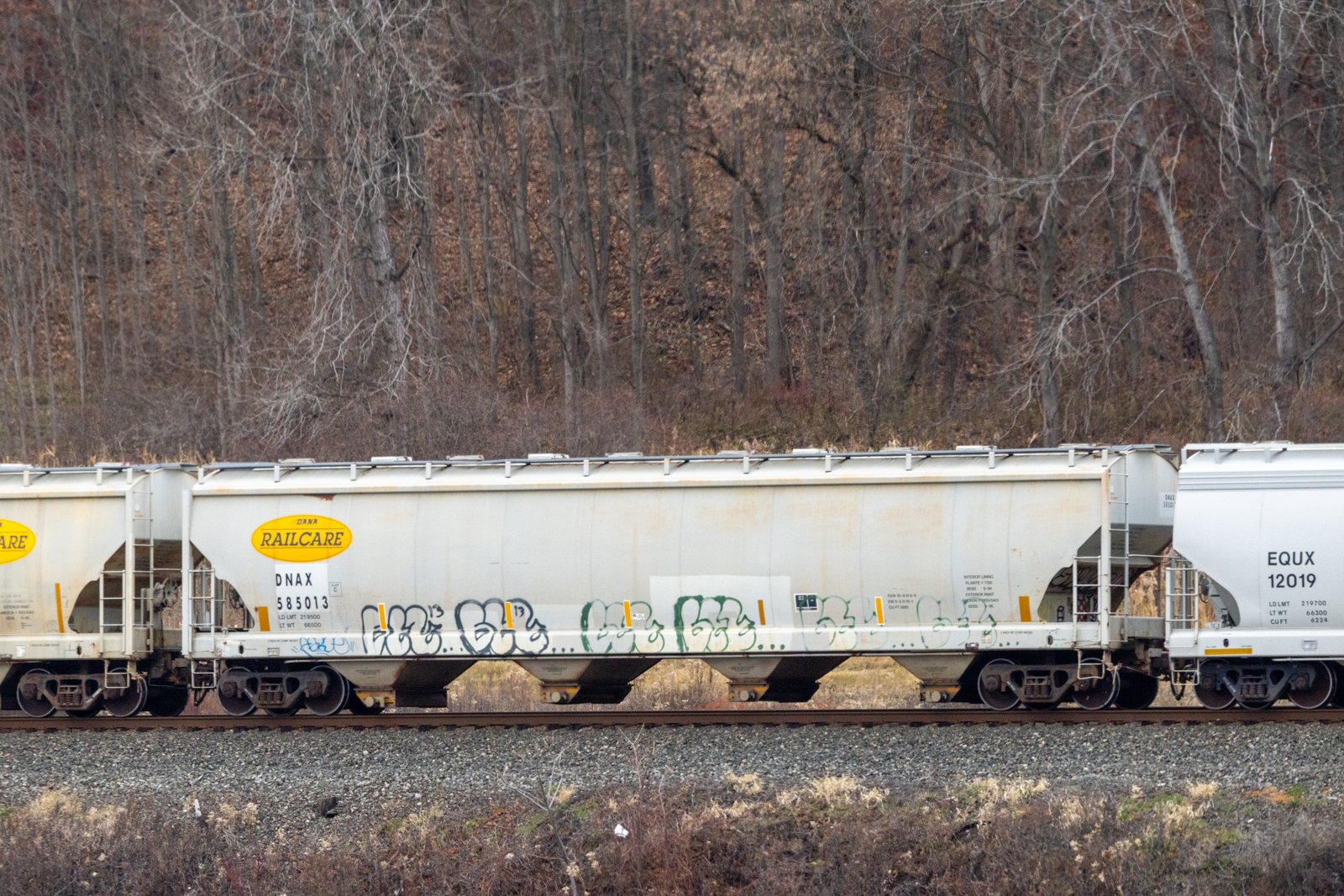 DNAX 585013