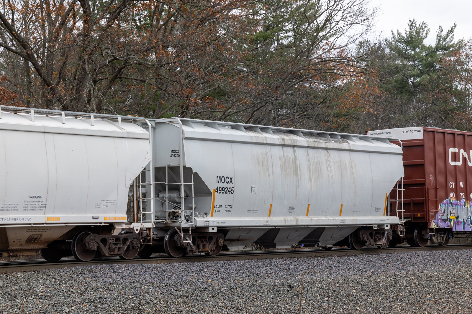 MOCX 499245