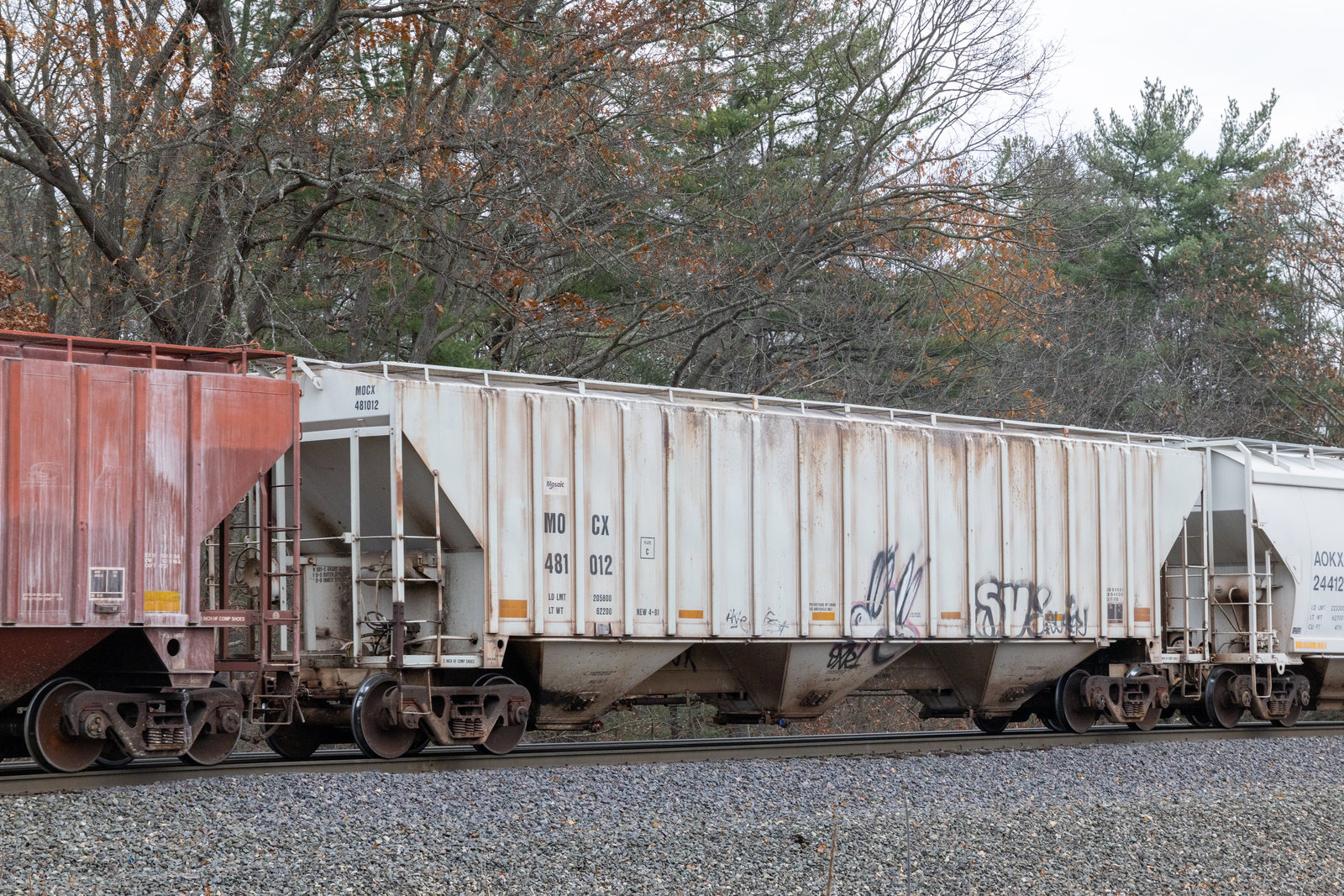 MOCX 481012