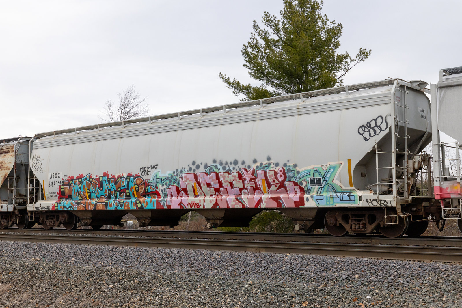 ASOX 889124