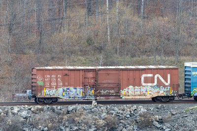 CN 598146