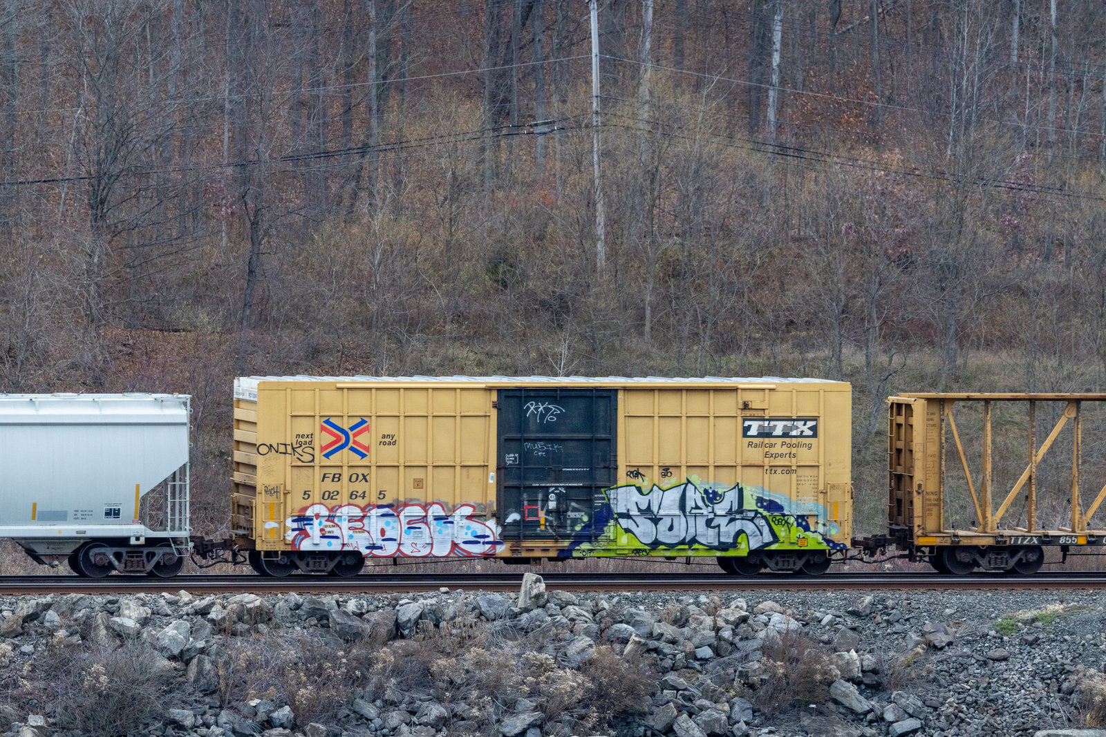 FBOX 502645