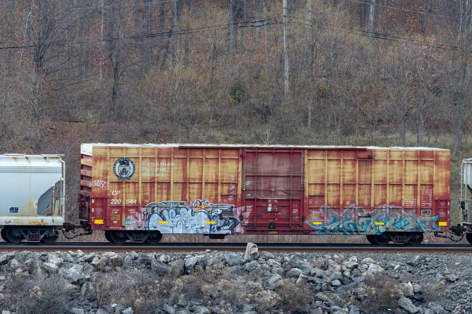 CP 220544