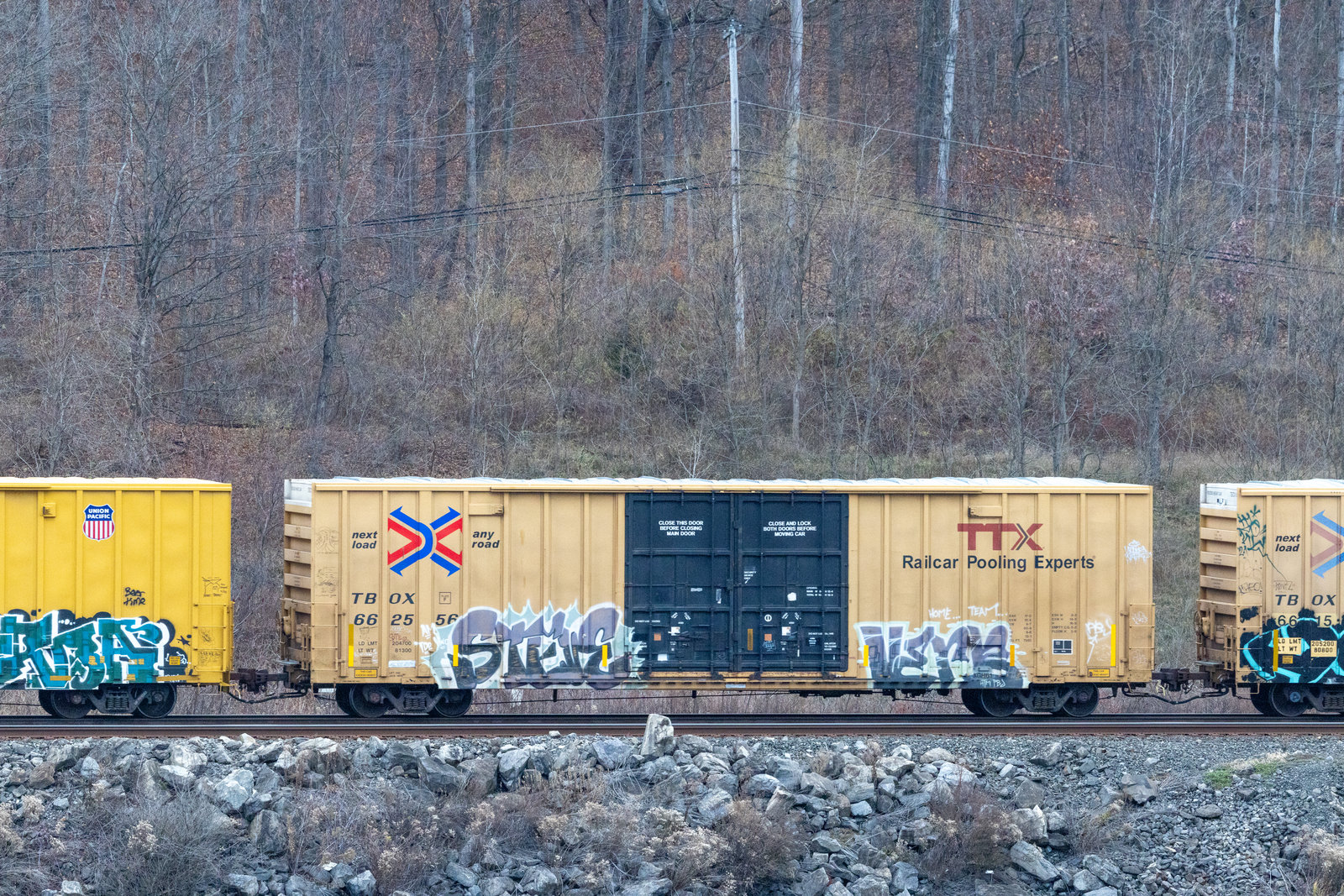 TBOX 662556