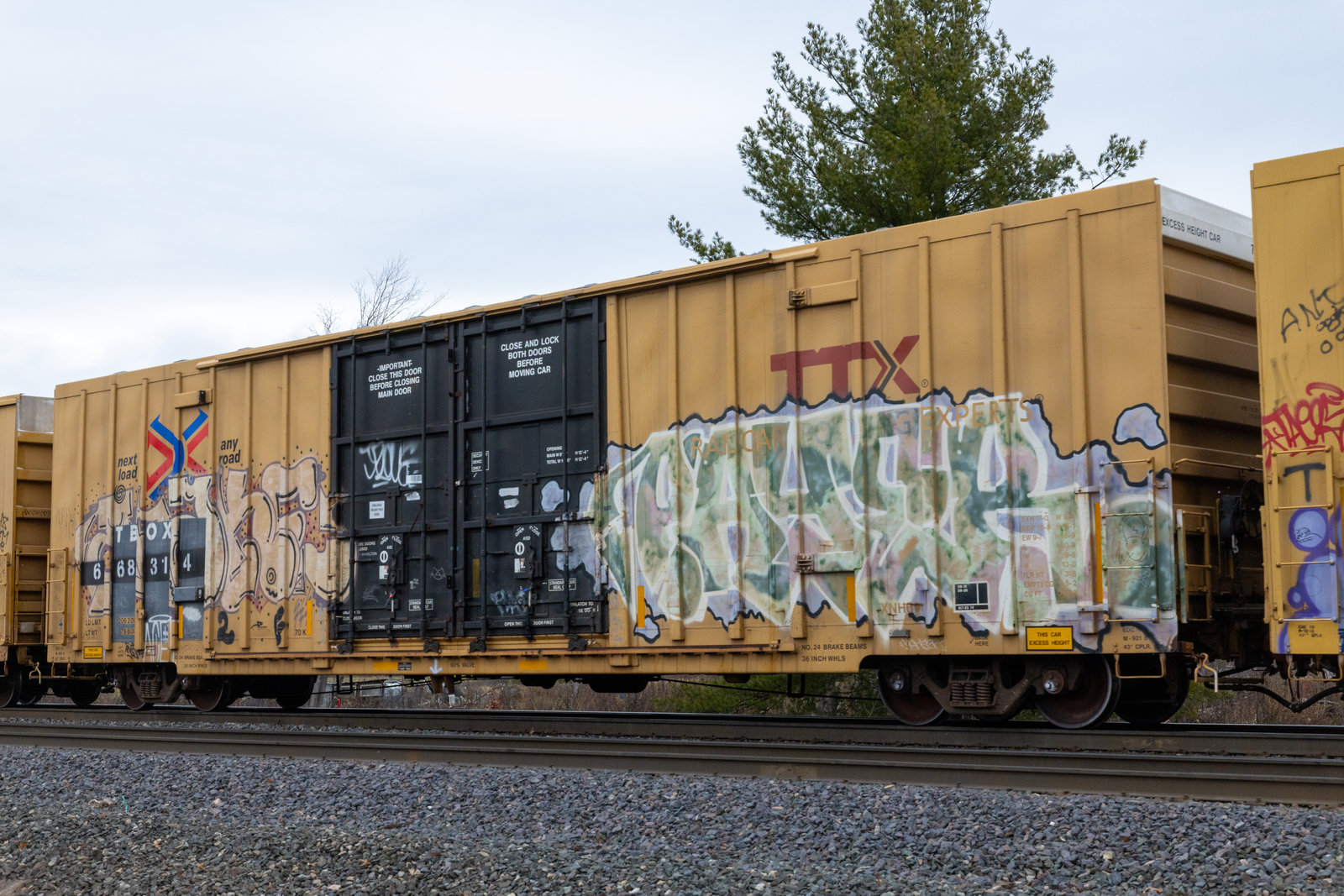 TBOX 668314