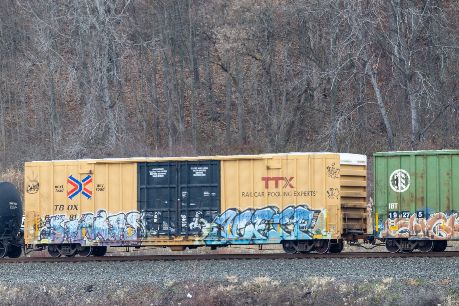 TBOX 667181
