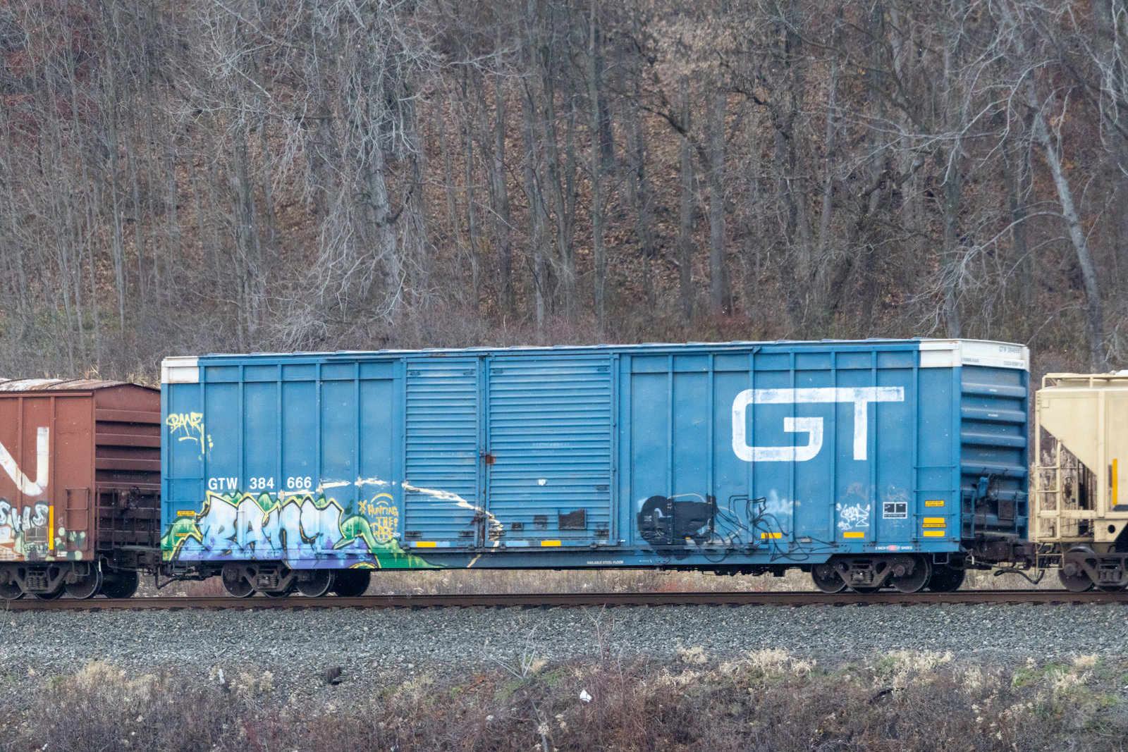 GTW 384666