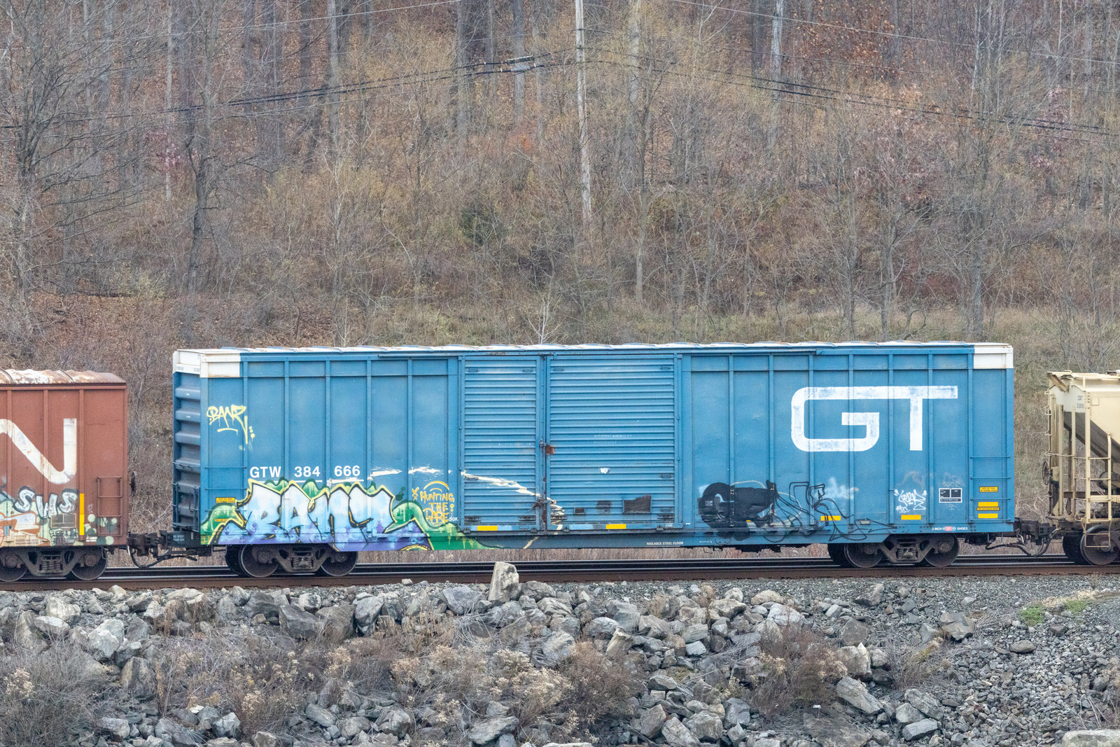 GTW 384666