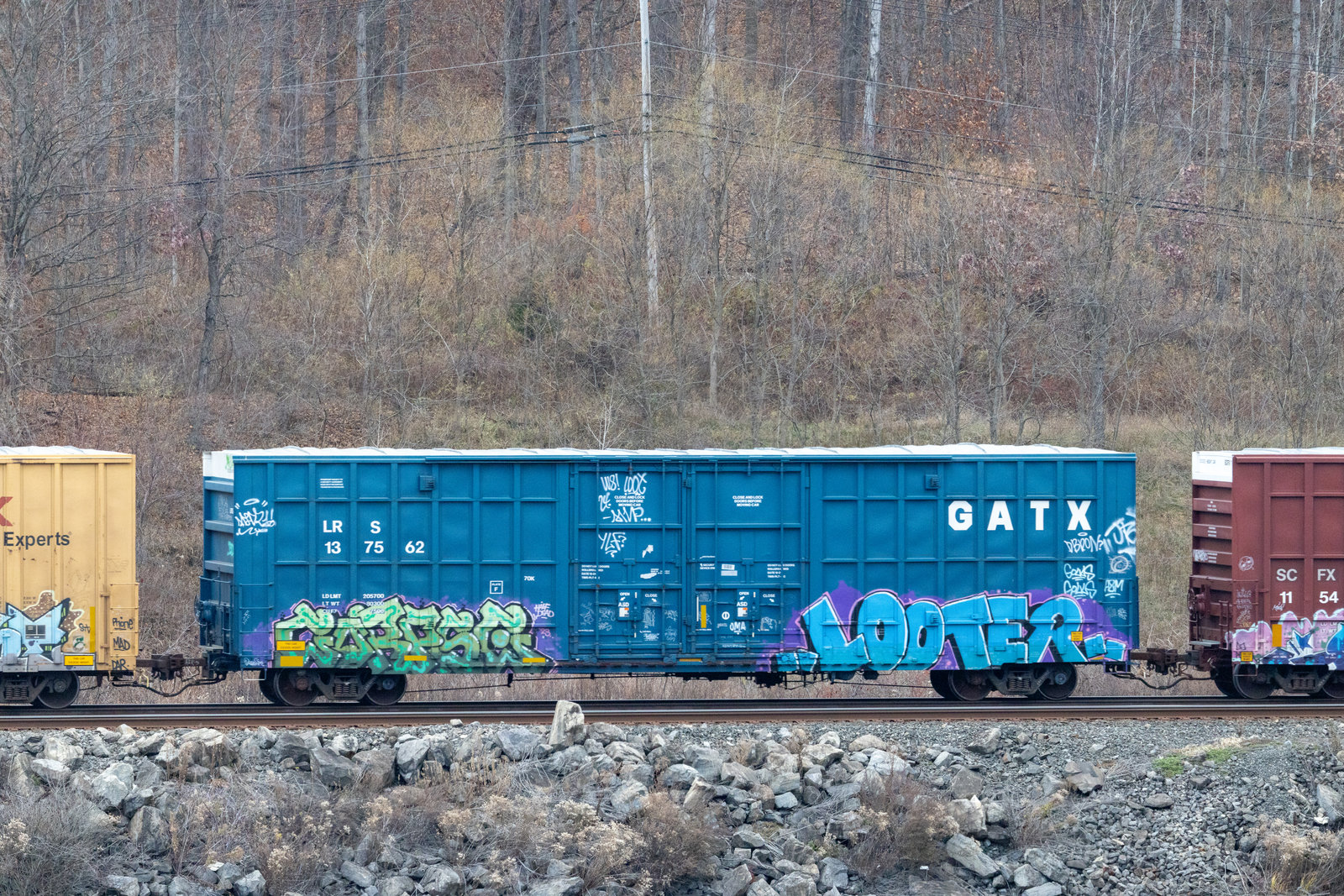 LRS 137562