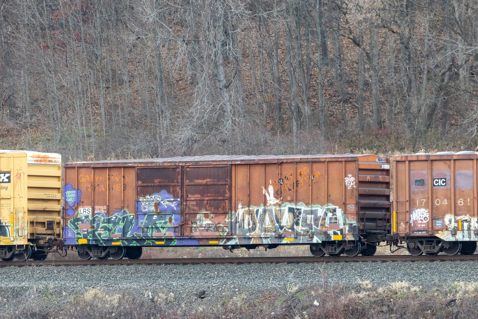 LRS 4336