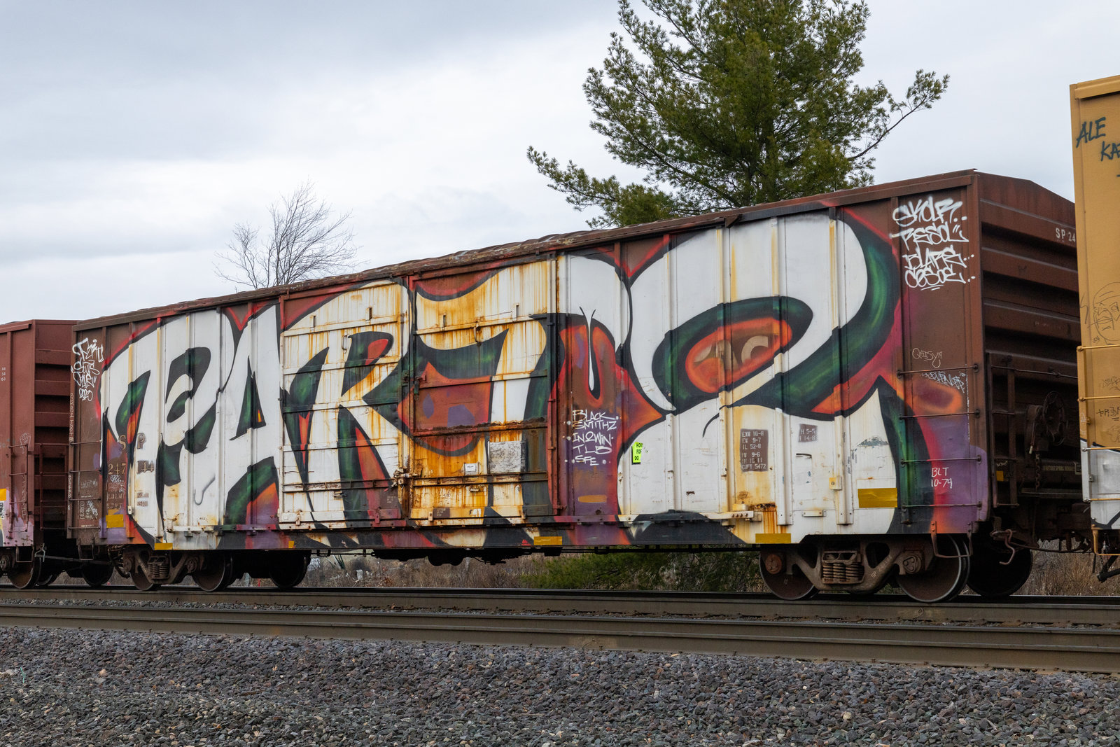 SP 247144