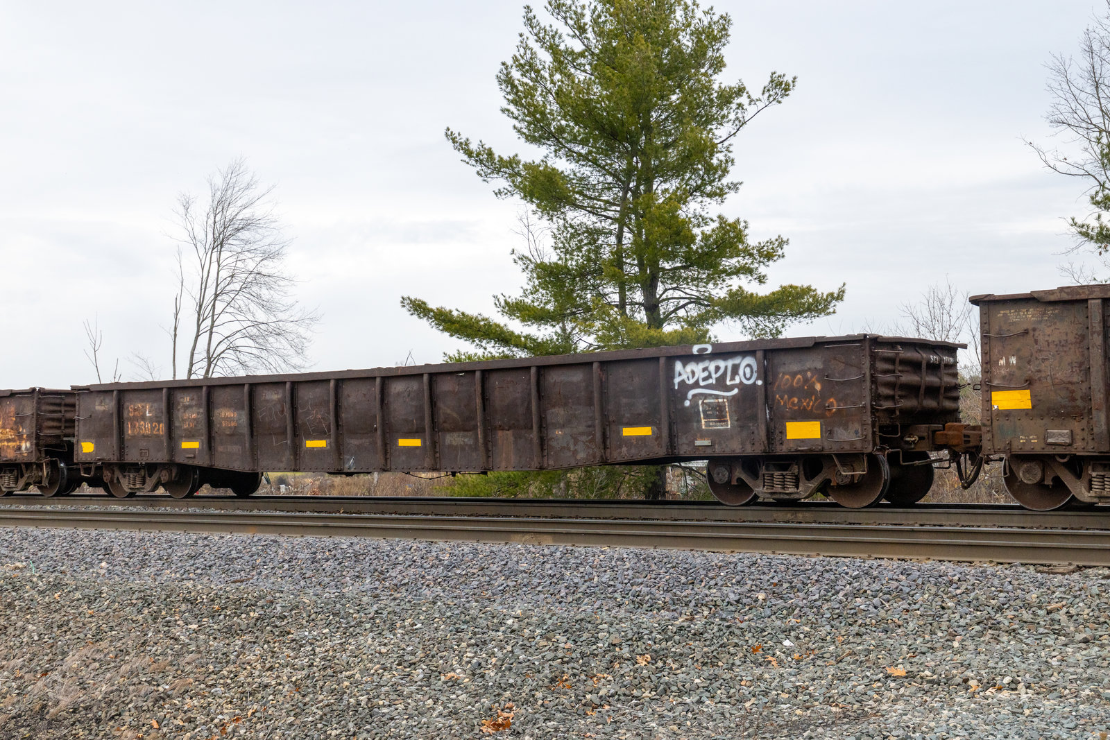 SCL 133020